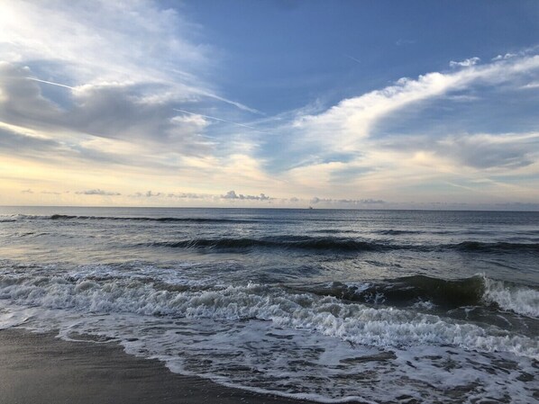 Camastros y toallas de playa 