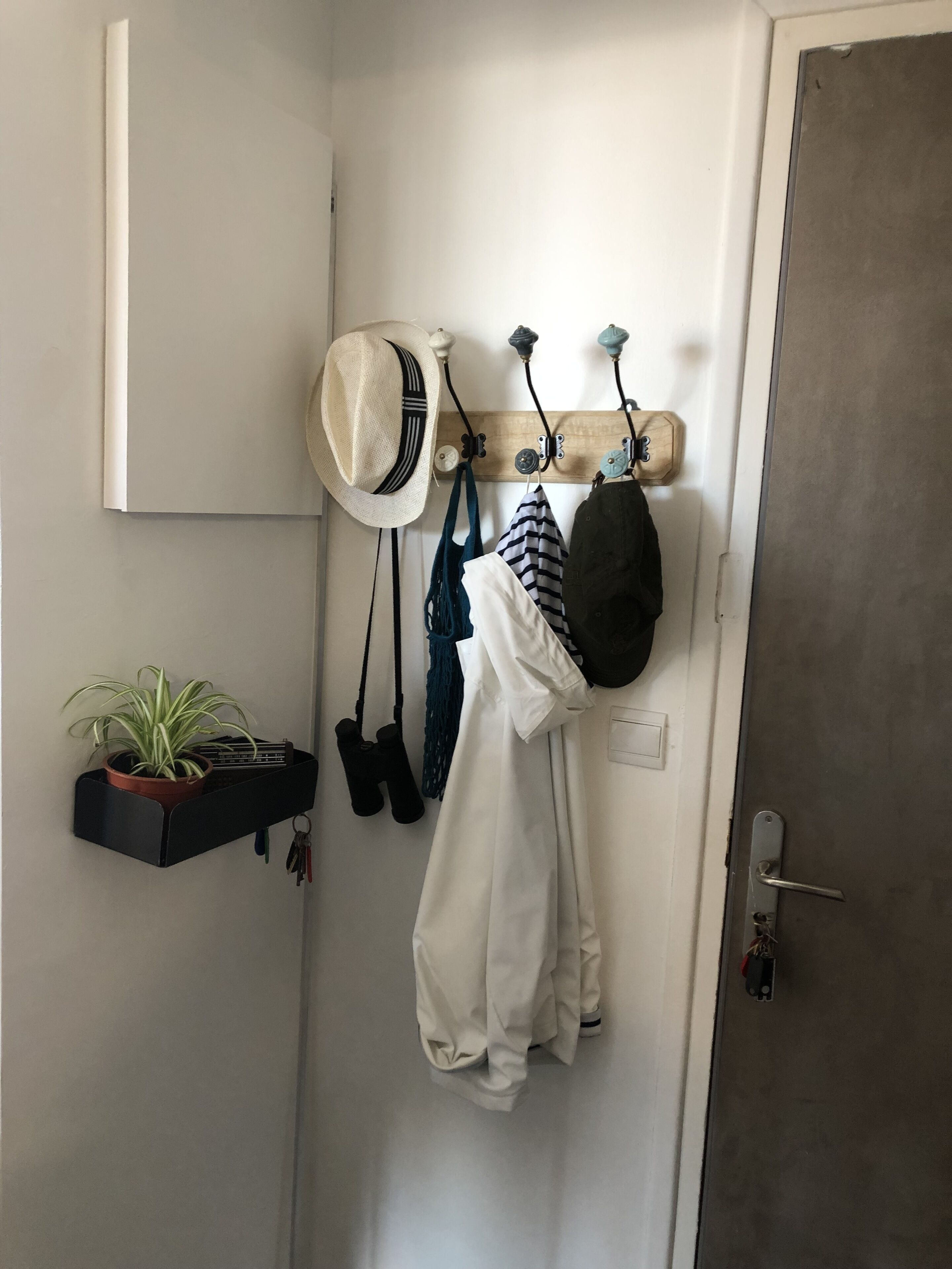 A hallway with a coat rack holding hats and bags, a potted plant, and a door with a key lock.