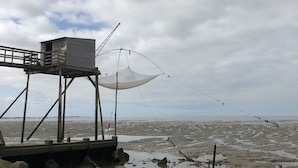 A coastal area with a wooden structure and a netted fishing setup.