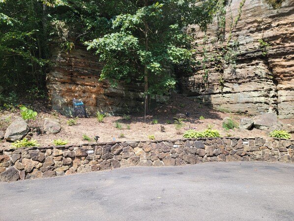 A rocky cliff with a stone wall in the foreground.