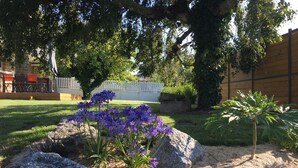 Een tuin met grote rotsen, paarse bloemen en een kleine palmboom.