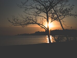 Camastros y toallas de playa 