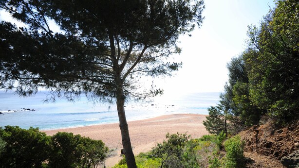 A beach with a wooden staircase leading down to the shore, surrounded by trees and rocky terrain. - Discount for the period January -May 2023 (Cala Gonone)