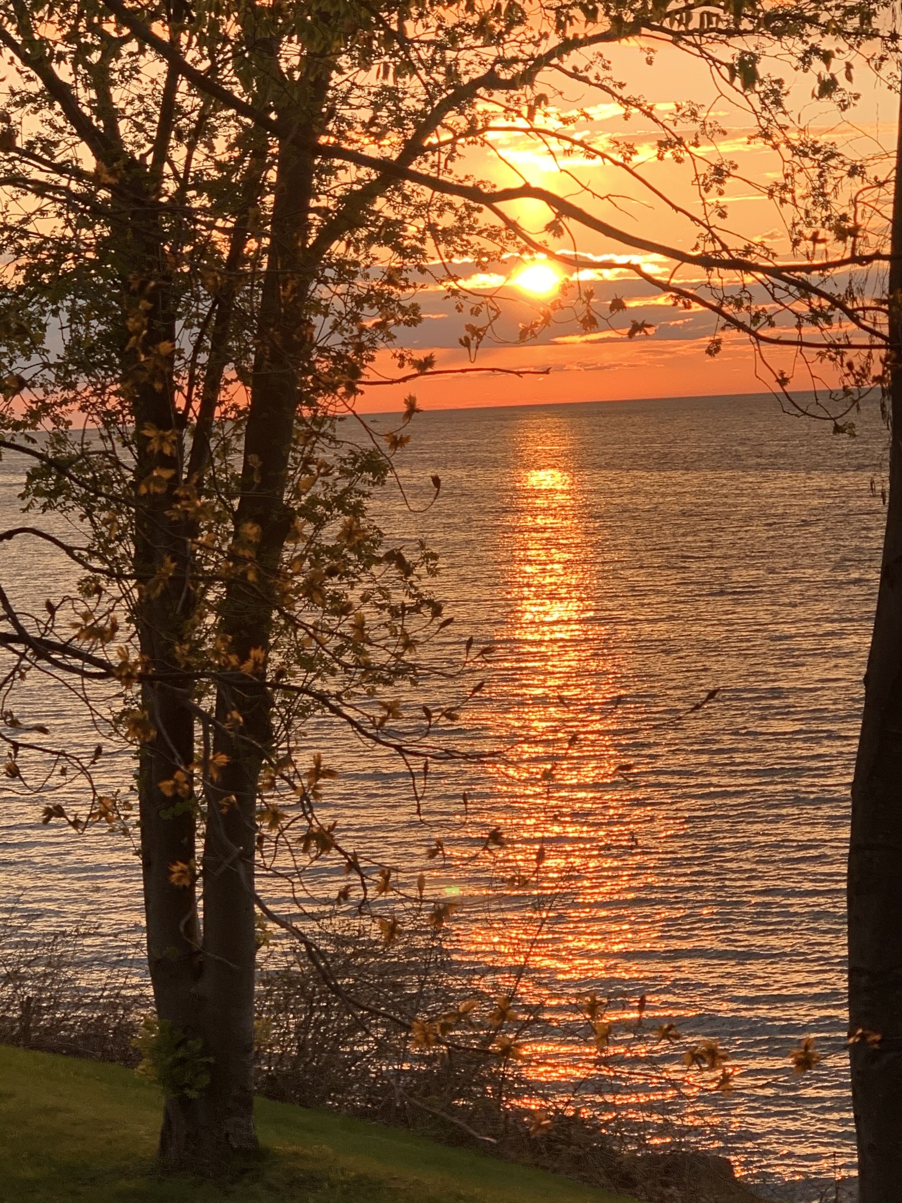 Cute-as-a-Button Lake House on Lake Ontario in Sodus, NY - 3 bdrm-2 bath