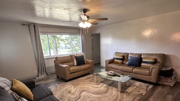 TV, fireplace, books