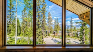 Ein großes Fenster mit Blick auf einen Wald und eine Straße.