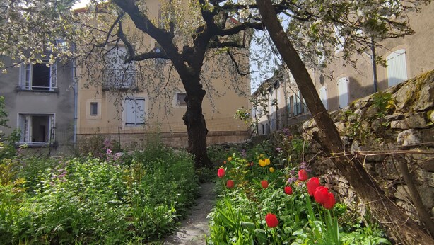 Une ruelle étroite, bordée d’un côté par un mur de pierre et de l’autre par un immeuble doté de fenêtres.