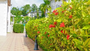 A paved pathway lined with lush green foliage and red flowers, leading to a white building with a traditional architectural style. - Mira Bay Apartments (Montego Bay)