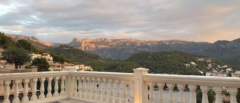 テラス / パティオ