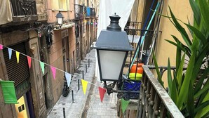 Un carreró estret amb un paviment de rajoles, una barana metàl·lica a la dreta i una planta en test.