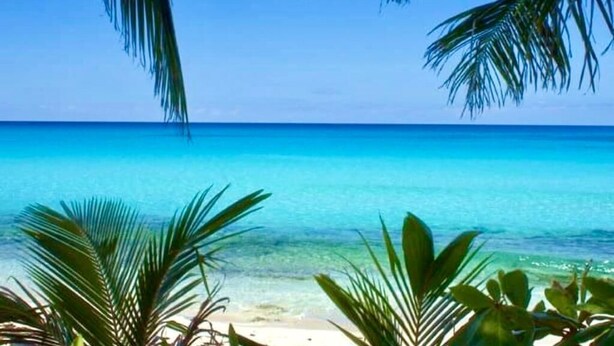 A beach scene with clear blue water and palm trees. - Beautiful Casa Sol  (Great Harbour Cay)
