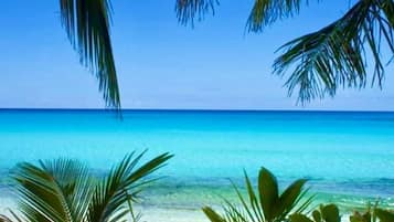 Playa en los alrededores