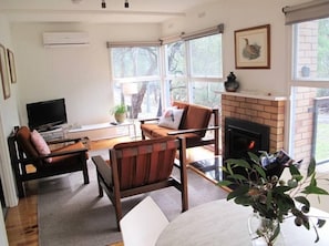 TV, fireplace