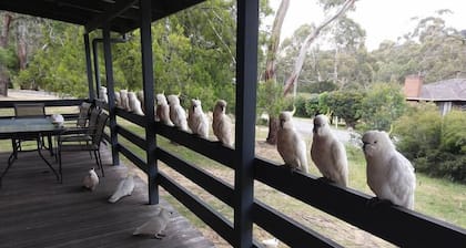 Cockatoo Cabin in Halls Gap