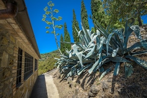 Detalhe da fachada