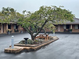 Un edificio con un patio empedrado, un árbol y mesas al aire libre.