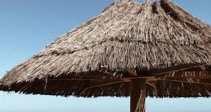 Bel appartement avec véranda et parking