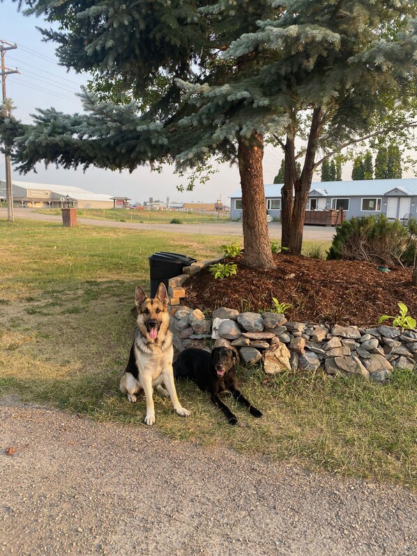 Exterior - Sacajawea Inn (Salmon)