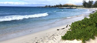 Beautiful Hawaiian Studio with Panoramic Views