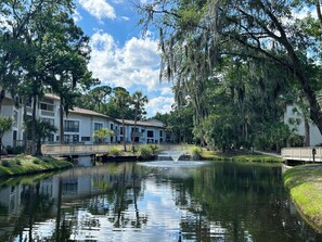 Escape to a serene oasis with a tranquil pond and lush greenery, connected by a picturesque bridge.