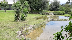 A landscaped garden with a pond, grass, and various plants. - House (Póvoa de Lanhoso)