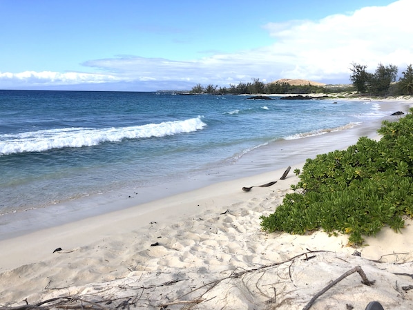 Sun loungers, beach towels - Private Peaceful Beautiful House (Kailua-Kona)