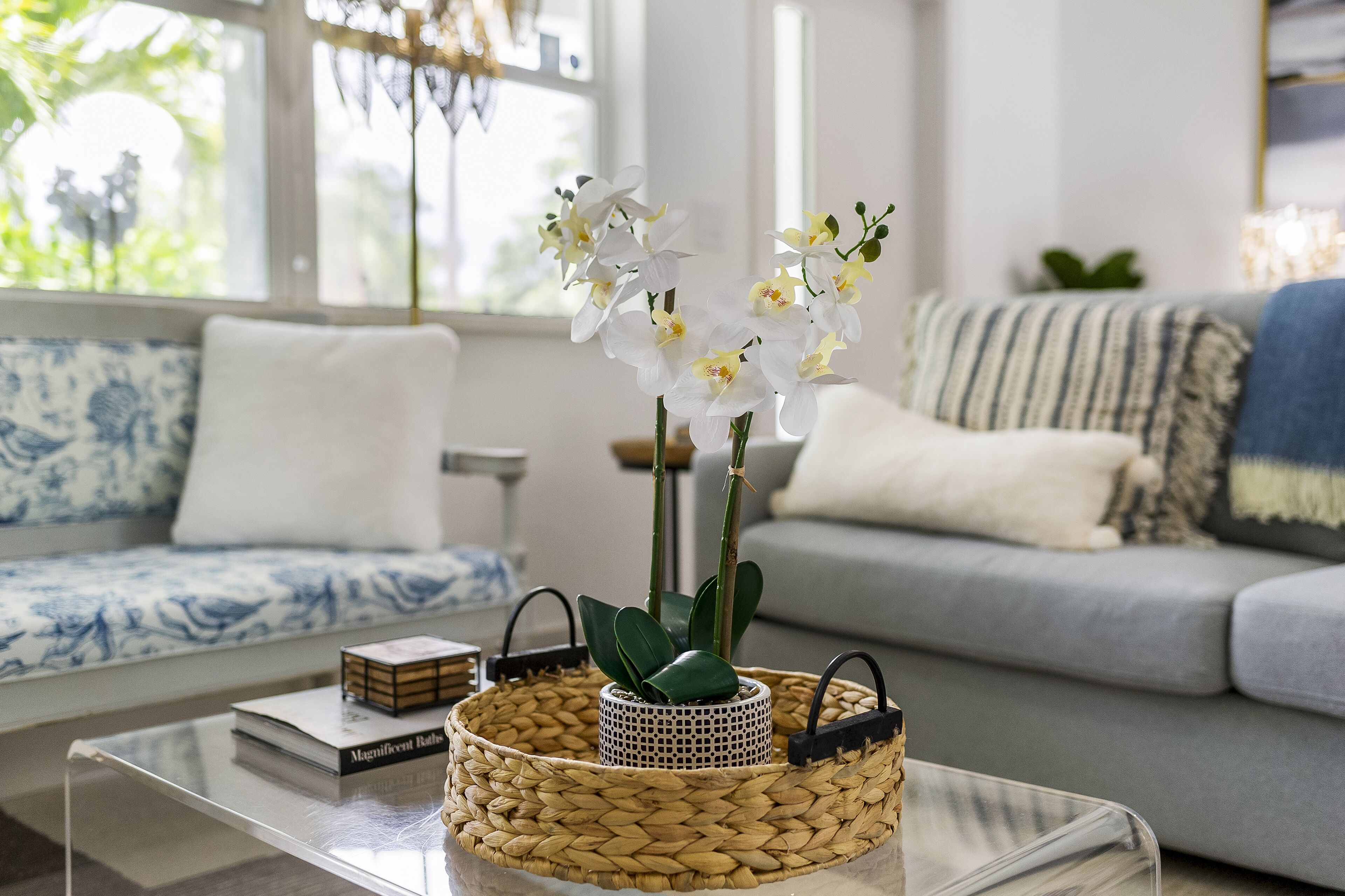 Smart-tv, Netflix, Hulu och böcker