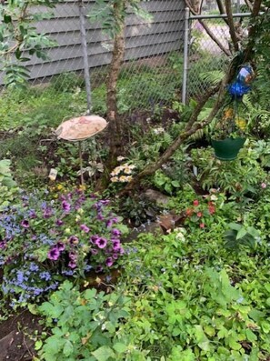 Stroll through this serene garden, surrounded by lush plants and vibrant flowers, with a tree and bird feeder adding to the natural charm.