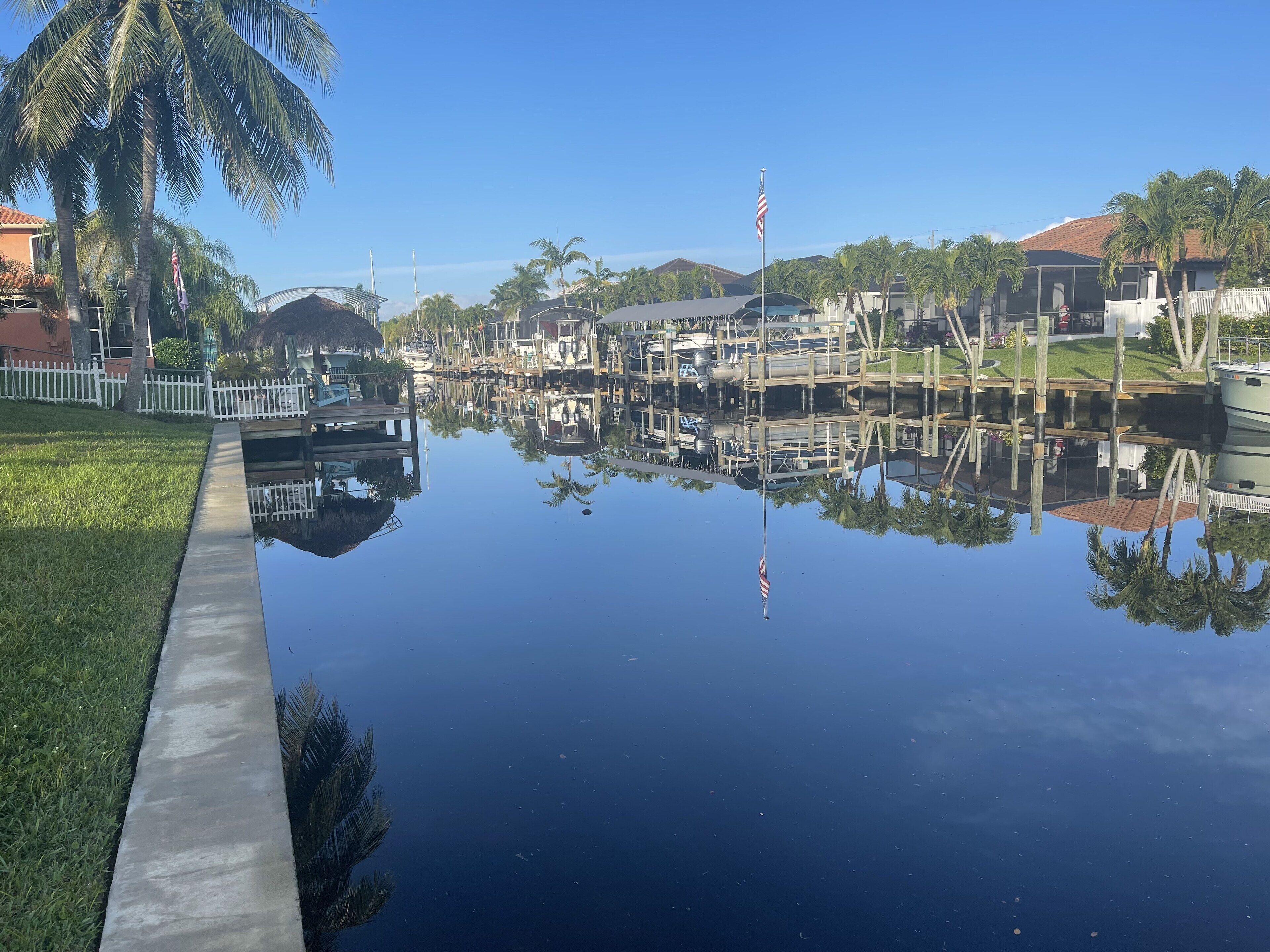 A marina with boats docked, a clear sky, and a reflection of palm trees and buildings in the water.