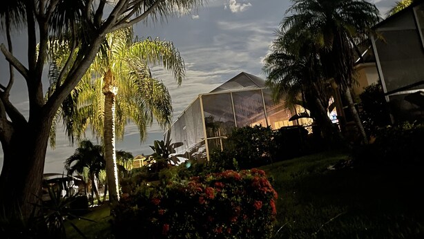 A garden with palm trees and a greenhouse. - Dream Vacation Pool Home! On the Water! (Cape Coral)
