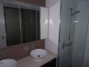 Combined shower/tub, bidet, towels, soap