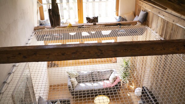 Une cage à oiseaux à plusieurs niveaux, dotée d’un plancher en bois, d’un plafond en treillis métallique et d’une fenêtre.