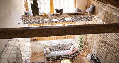 Appartements - N°5 et N°5B by Interhome