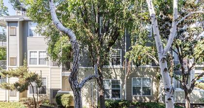 Bright Santa Clara 2BR w/ W/D, Gym, Pool, walk to Safeway, by Blueground