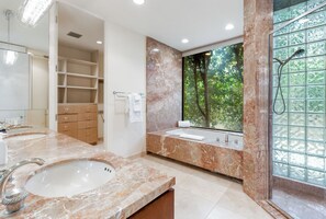 Bathtub, jetted tub, hair dryer, bidet