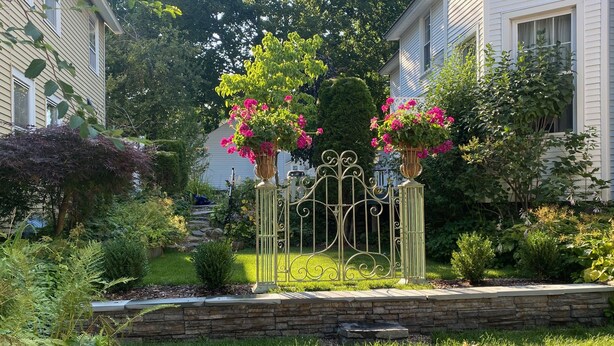 A residential garden with a metal gate, stone wall, and various plants.