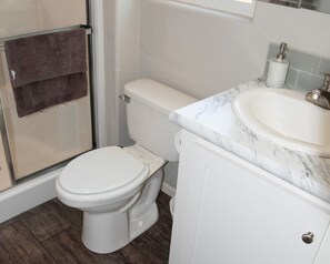 Douche, séchoir à cheveux, serviettes fournies, savon