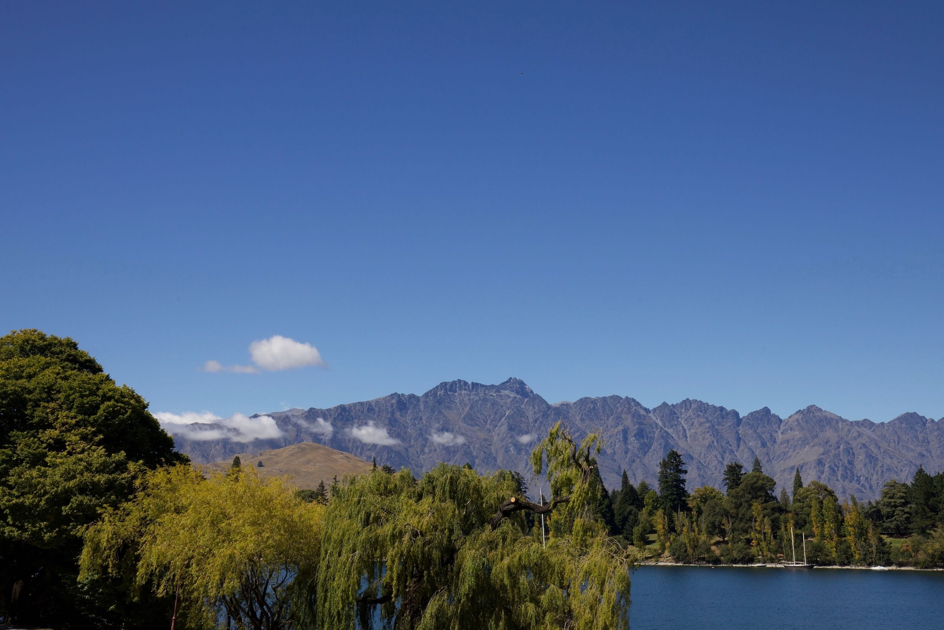 Un paisaje montañoso con cielo despejado, una masa de agua y abundante vegetación en primer plano.