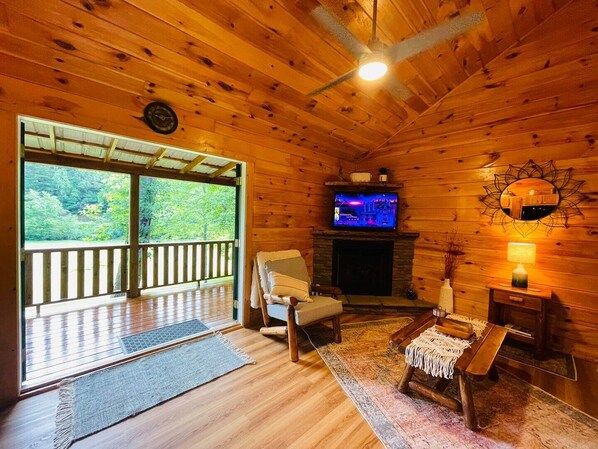 Smart TV, fireplace, books