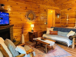 Smart TV, fireplace, books