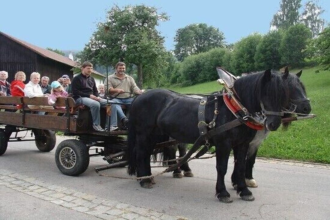 Une calèche tirée par un cheval, avec des passagers à bord.
