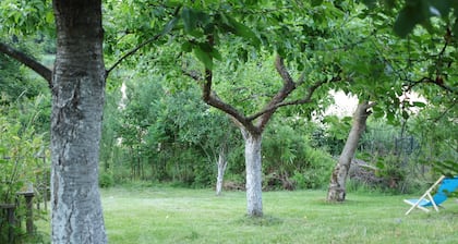 Nenufar - Pokoje blisko lasu