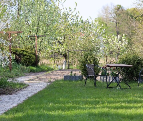 Nenufar - Pokoje blisko lasu