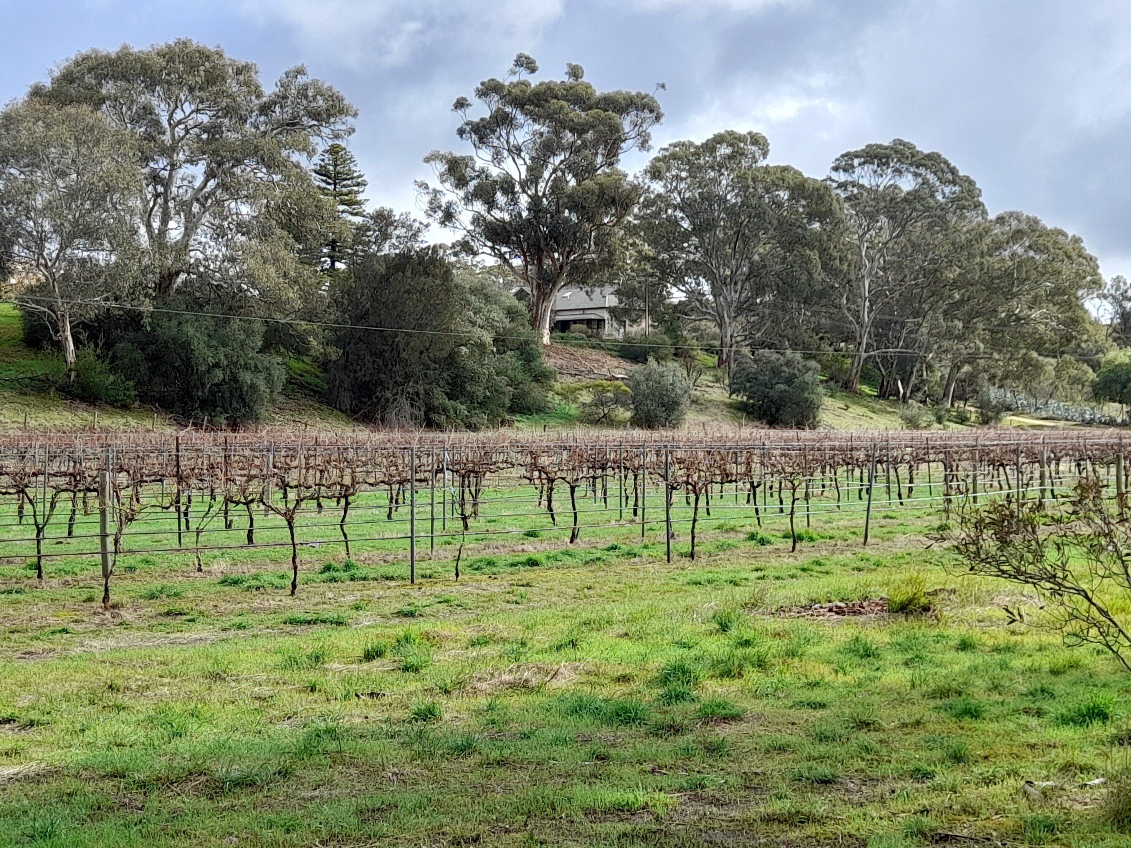 Archery Road Estate is the perfect escape everyone! — image 7