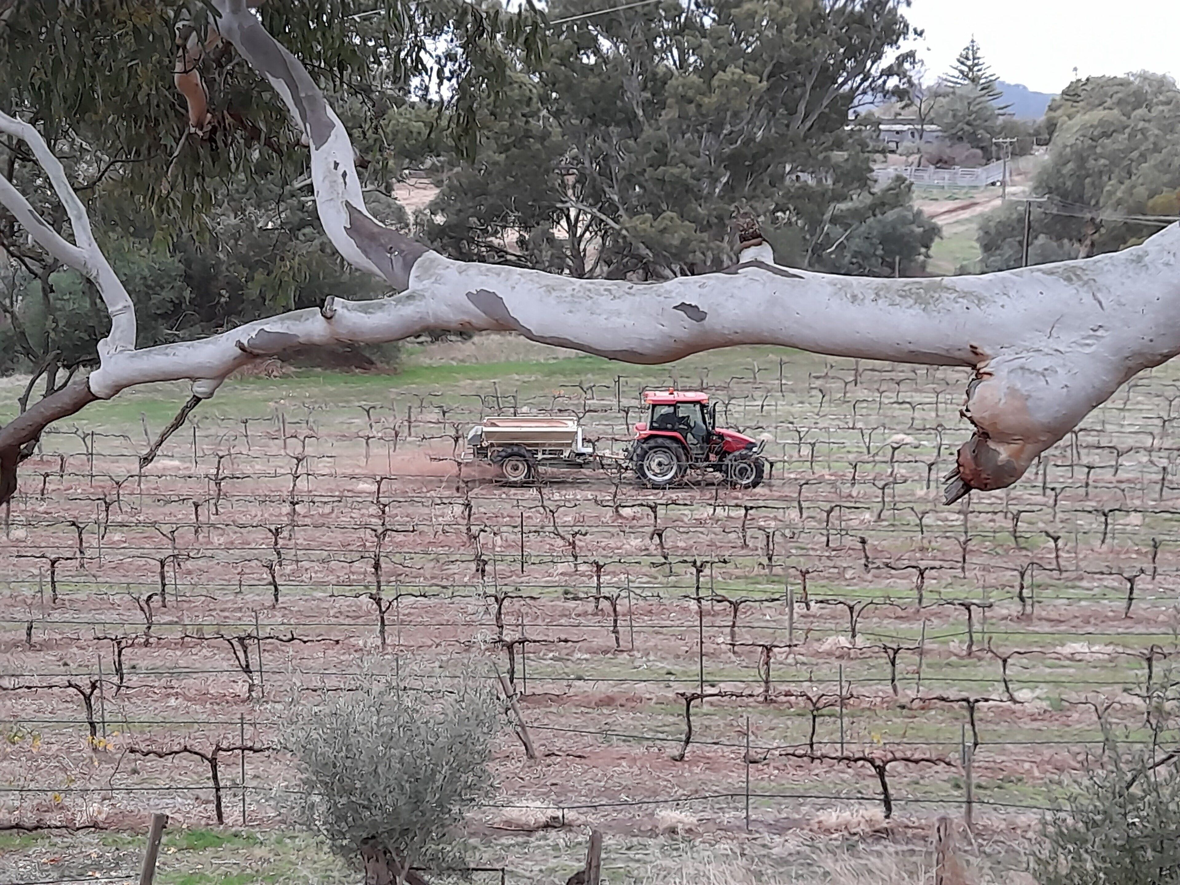 Archery Road Estate is the perfect escape everyone! — image 10