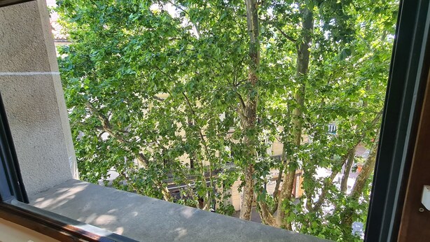 A window with a view of a tree-lined street. - Grand Studio Neuf Climatise Intramuros 9A (Avignon)