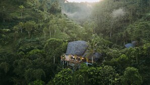 A thatched-roof bungalow surrounded by lush greenery and terraced fields. - Buahan, A Banyan Tree Escape (Payangan)
