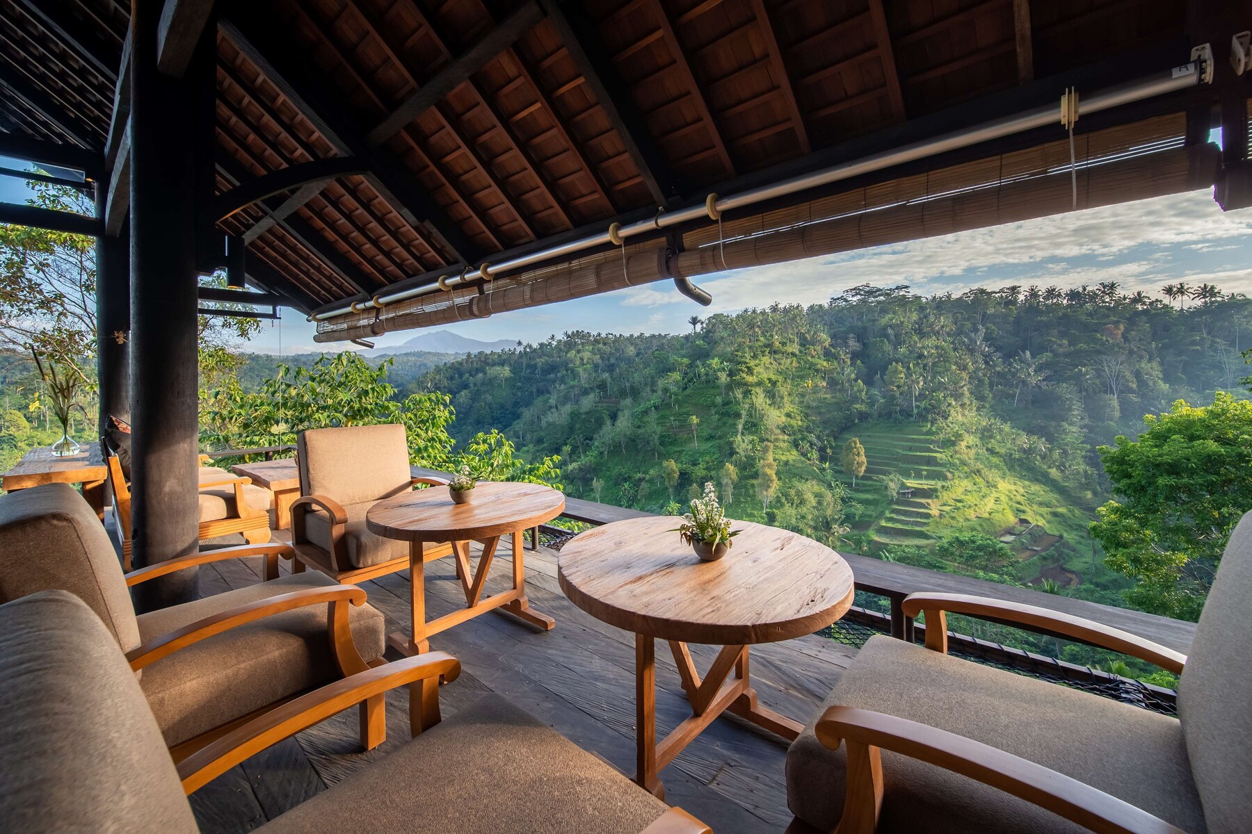 Garden views, open daily