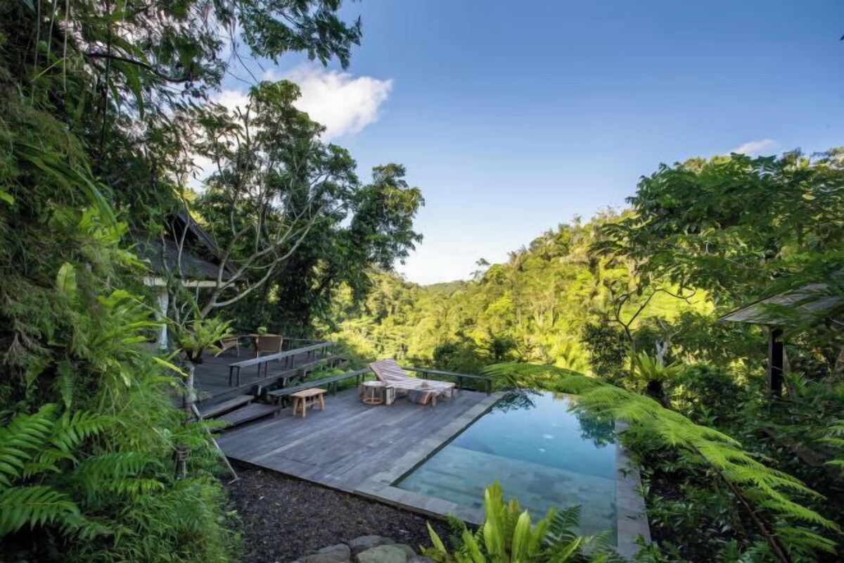 Piscina privada con terraza de madera, rodeada de exuberante follaje y árboles.