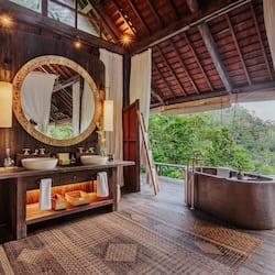 Separate tub and shower, deep soaking tub, rainfall showerhead